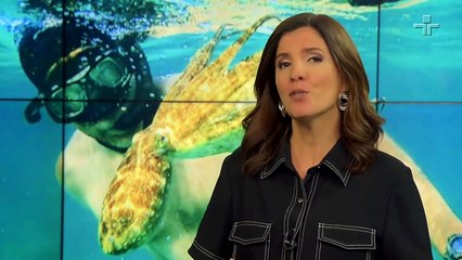 Matéria de Capa | Inteligência Animal | 15/11/2020