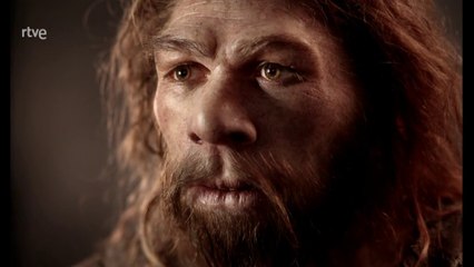 Al encuentro de los neandertales [ HD ] - Documental