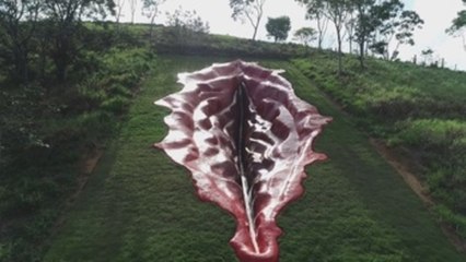 Una escultura gigantesca de la vulva de una mujer desata polémica en Brasil