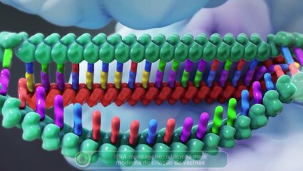 RNA mensageiro: a técnica mais moderna de criação de vacinas