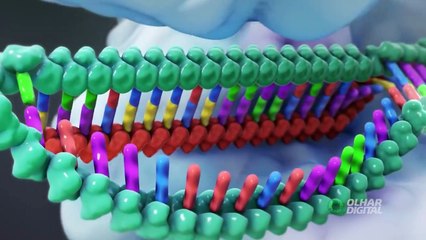 RNA mensageiro: a técnica mais moderna de criação de vacinas