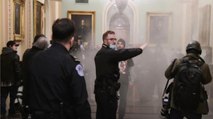 Protestor enters US Capitol building with gun, starts firing