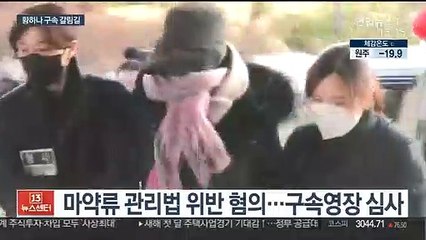 집행유예 중 또 마약 의혹…황하나 영장 심사