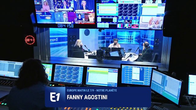 Les écureuils de Central Park deviennent agressifs