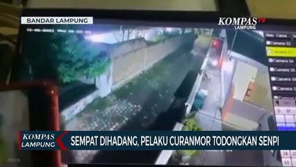 Aksi Pencuri Motor Bersenjata Api Terekam CCTV