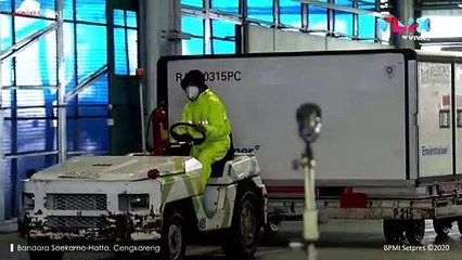 Detik-detik Vaksin China Sinovac Tahap Dua Tiba di Indonesia