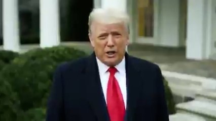 Trump dice que los manifestantes "son especiales" y pide que "se vayan a casa"