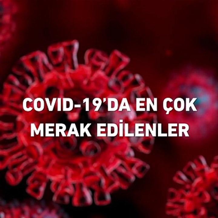Koronavirüs (Covid-19) da en çok merak edilenler?
