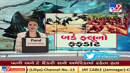 Mehsana_ Birds found dead at  Modhera temple, samples sent to Bhopal