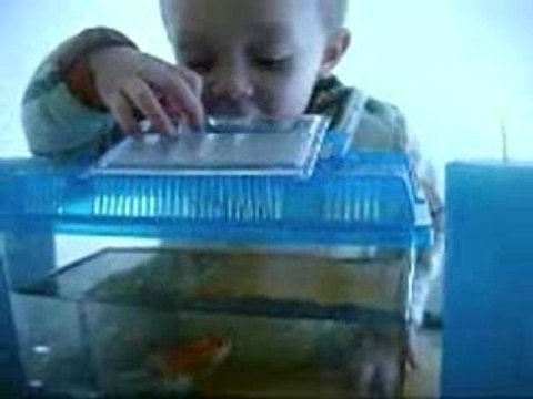 nolann donne a mangé a petit poisson