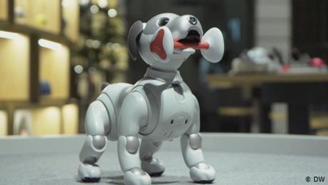 Aibo, el perro robot de última generación