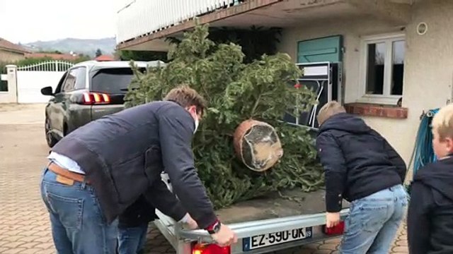 Une idée écologique pour recycler votre sapin