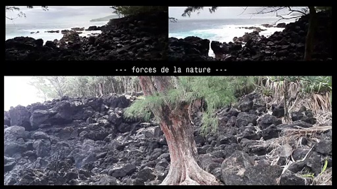 Marine de st Philippe (ILE DE LA REUNION);Marine de St-Philippe (ILE DE LA REUNION);Avis de forte houle du 27 Décembre 2020 !