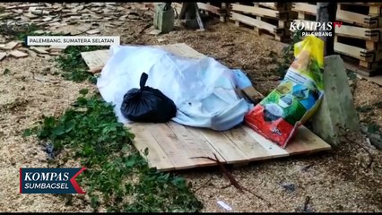 Rumah Terbakar, Suami Istri Di Palembang Tewas