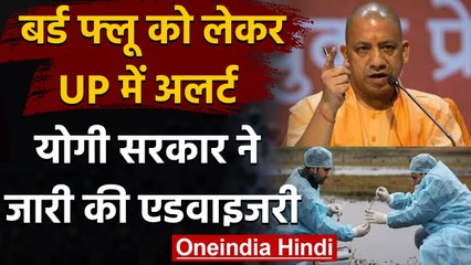 Bird Flu Alert in UP: Yogi Government ने जारी की एडवायजरी, देखें क्या हैं निर्देश | वनइंडिया हिंदी