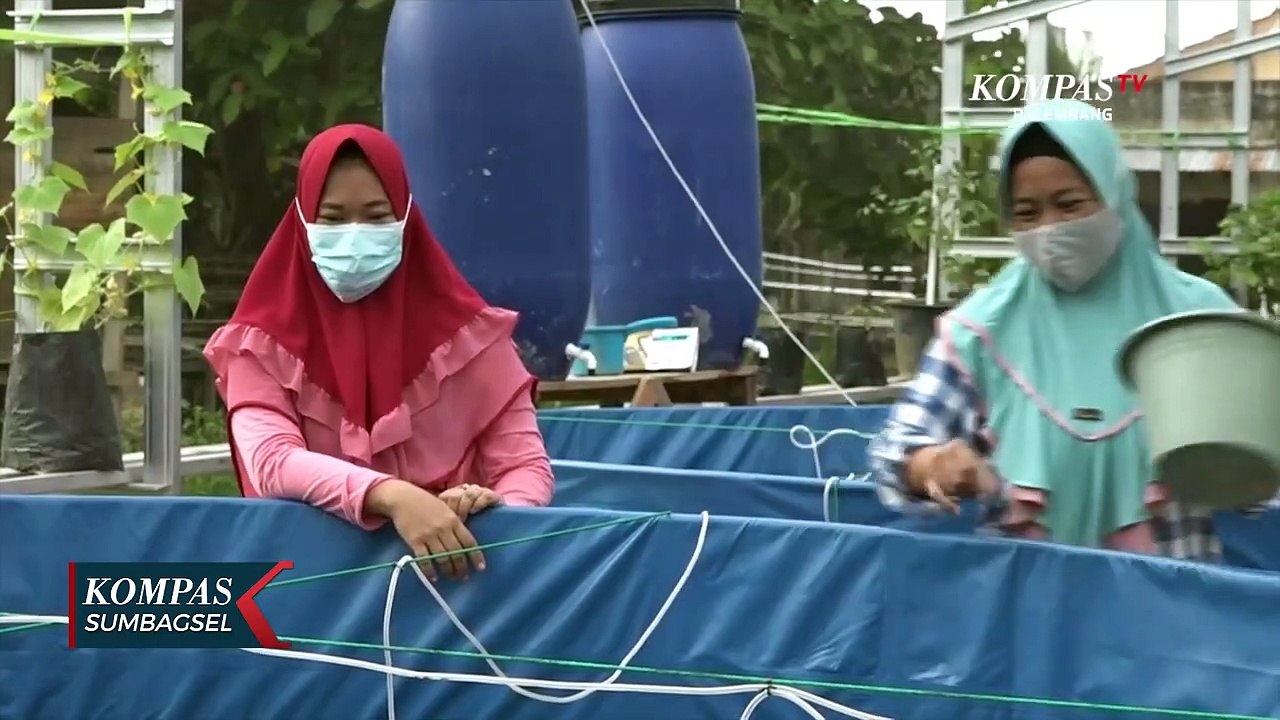 Bioflok Teknik Budidaya Ikan Lele Di Lahan Terbatas