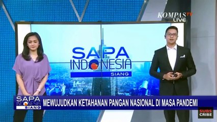 Mewujudkan Ketahanan Pangan Nasional di Tengah Pandemi Covid-19