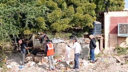 8 श्वानों की मौत, ब्र्ड फ्लू की आशंका