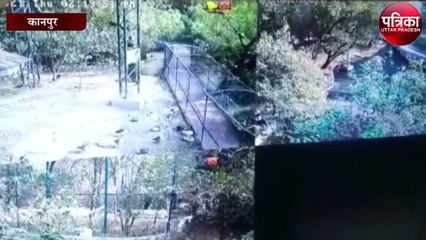 कानपुर चिड़ियाघर में पक्षियों की मौत