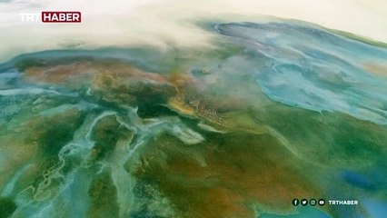 Flamingolar Yarışlı Gölü'ne renk kattı