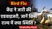 Bird Flu Advisory: कई राज्यों में फैला बर्ड फ्लू ,  केंद्र सरकार ने जारी की गाइडलाइंस वनइंडिया हिंदी