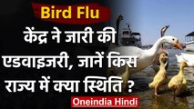 Bird Flu Advisory: कई राज्यों में फैला बर्ड फ्लू ,  केंद्र सरकार ने जारी की गाइडलाइंस वनइंडिया हिंदी