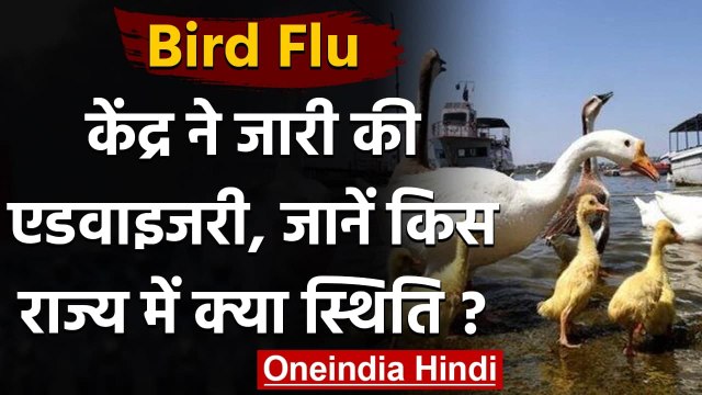 Bird Flu Advisory: कई राज्यों में फैला बर्ड फ्लू , केंद्र सरकार ने जारी की गाइडलाइंस वनइंडिया हिंदी