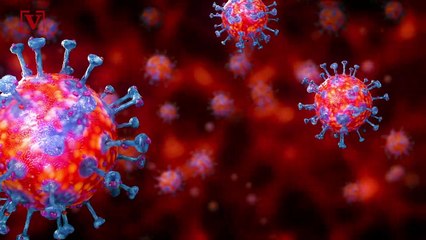 This Facial Recognition Program Can Tell Who You Are Even If You’re Wearing a Mask