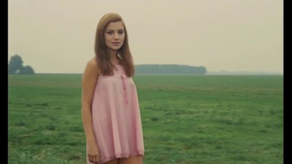 Le grand Amour '1969' Streaming BluRay-Light (VF) + Hommage