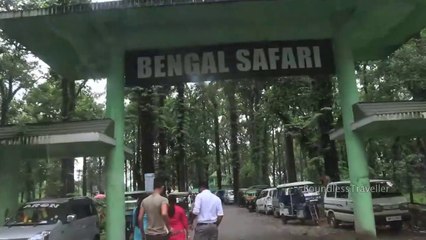 Bengal Safari Park in Siliguri - Beautiful experience with jungle