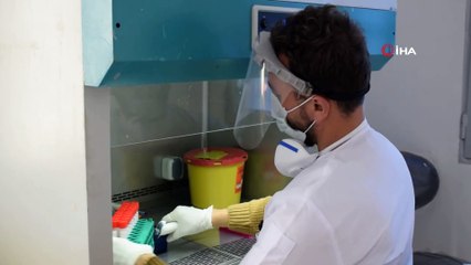 - Barış Pınarı Bölgesinde PCR Laboratuvarı Kuruldu
