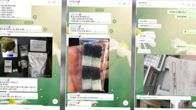 국내 최대급 마약 공급책 '바티칸 킹덤' 검거...49억 원어치 유통 / YTN