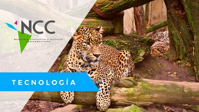 El zoológico de Belice sobrevive con donaciones para alimentar a los animales