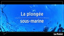 Martinique : terre de sports et d'aventures #1 - La plongée sous-marine