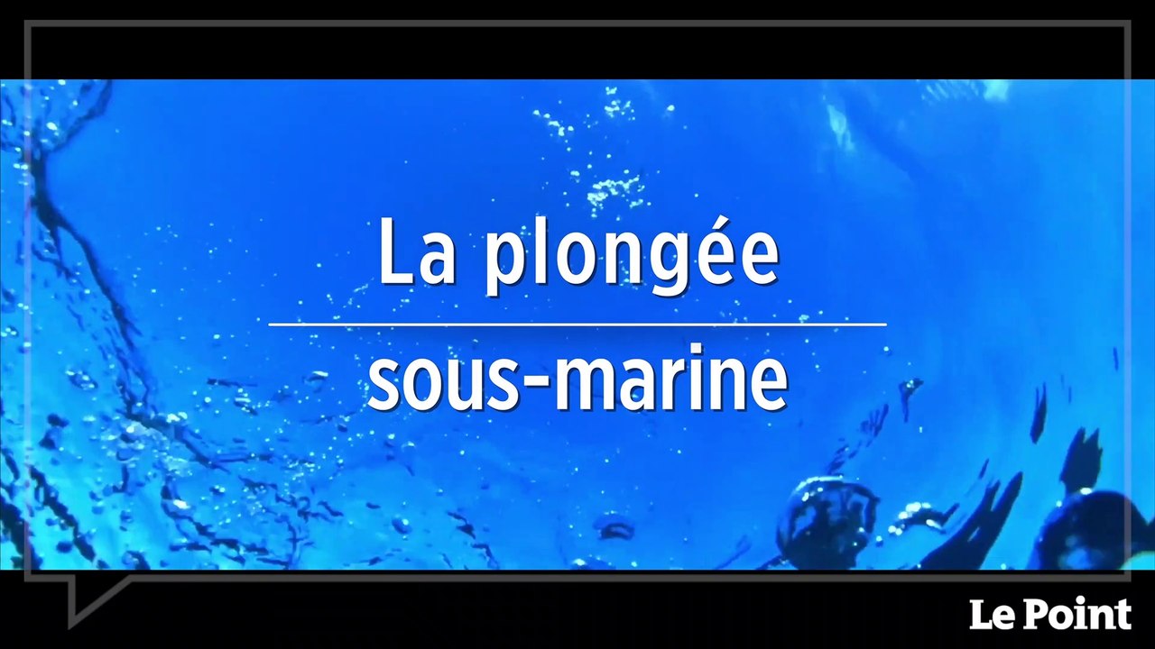 Martinique : terre de sports et d'aventures #1 - La plongée sous-marine