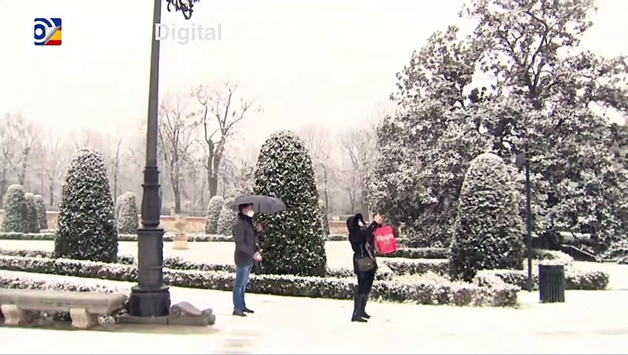 El parque de El Retiro de Madrid se cubre de ni...