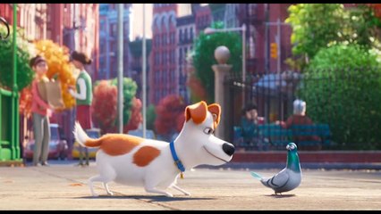 Animaux de compagnie — Ciné-philo par Ollivier Pourriol