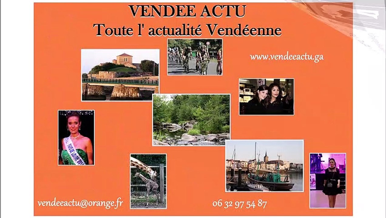 Ecureuil dans la forêt de Tanchet aux Sables D' Olonne ( Vendée ) , Jeudi 7 Janvier 2021