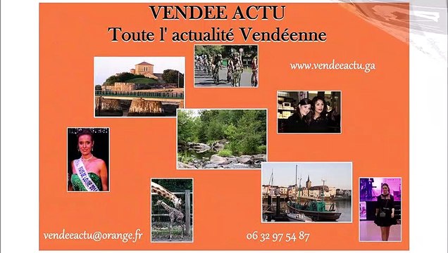 Ecureuil dans la forêt de Tanchet aux Sables D' Olonne ( Vendée ) , Jeudi 7 Janvier 2021