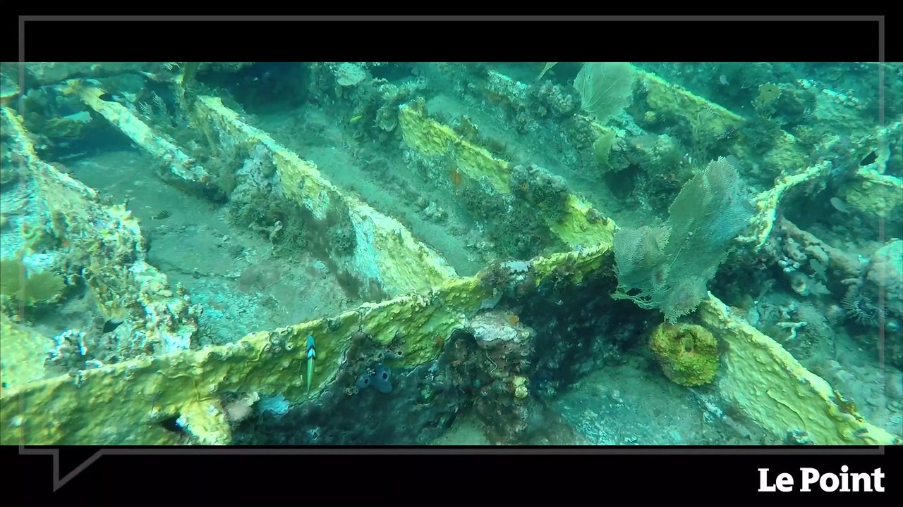Martinique : terre de sports et d'aventures #1 - La plongée sous-marine