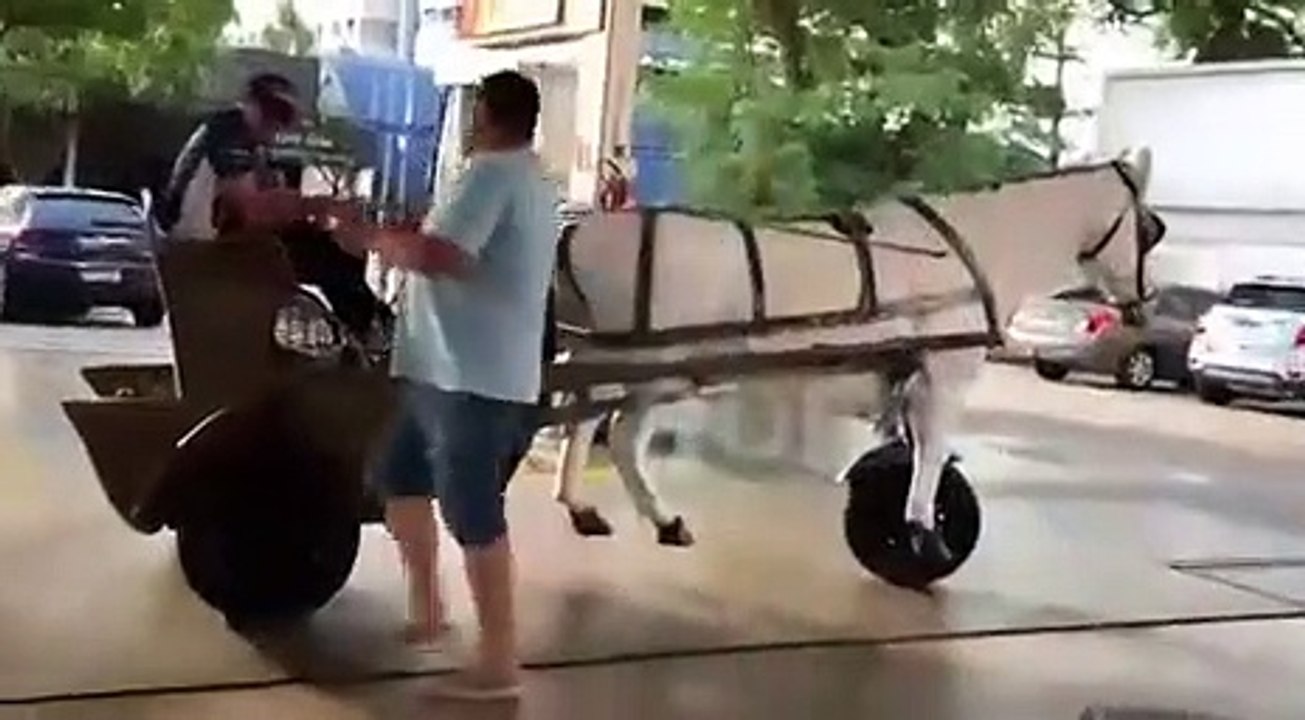 La voiture du futur, tirée par un cheval blanc