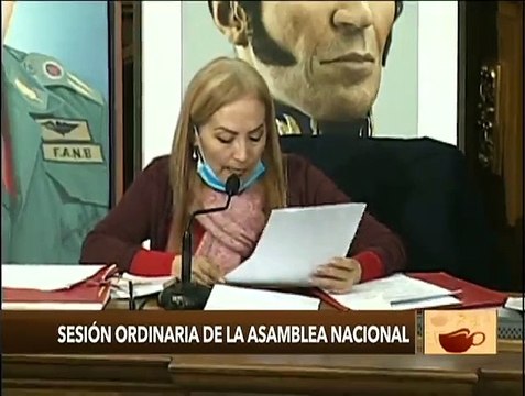 AN establece 3 comisiones Especiales y 5 permanentes (Sesión Completa)