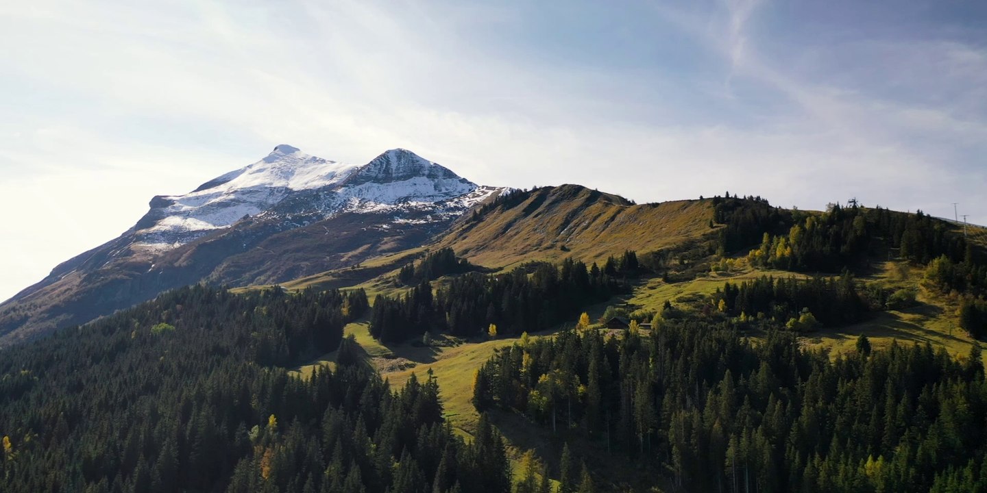 Best Of 36ème Saint-Gervais Mont-Blanc d'Humour