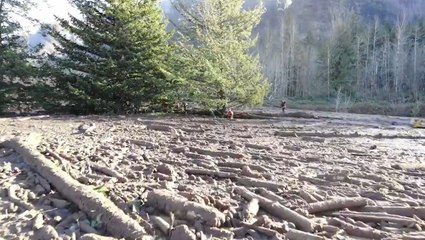 Rescue workers search for missing woman after landslide