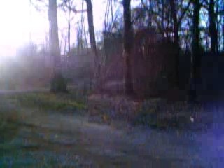 Farid's Raptor Edition 660 (B.2)