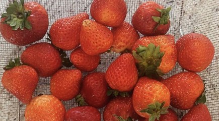 How to Freeze Strawberries: A Step-by-Step Guide