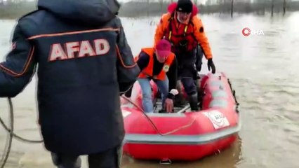 Taşkında mahsur kalan yavru köpekler AFAD ekipleri kurtardı