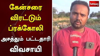 கேன்சரை விரட்டும் ப்ரக்கோலி - அசத்தும் பட்டதாரி விவசாயி | Farmer