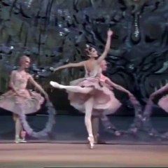 バレエ ballet 美しい　beautiful
