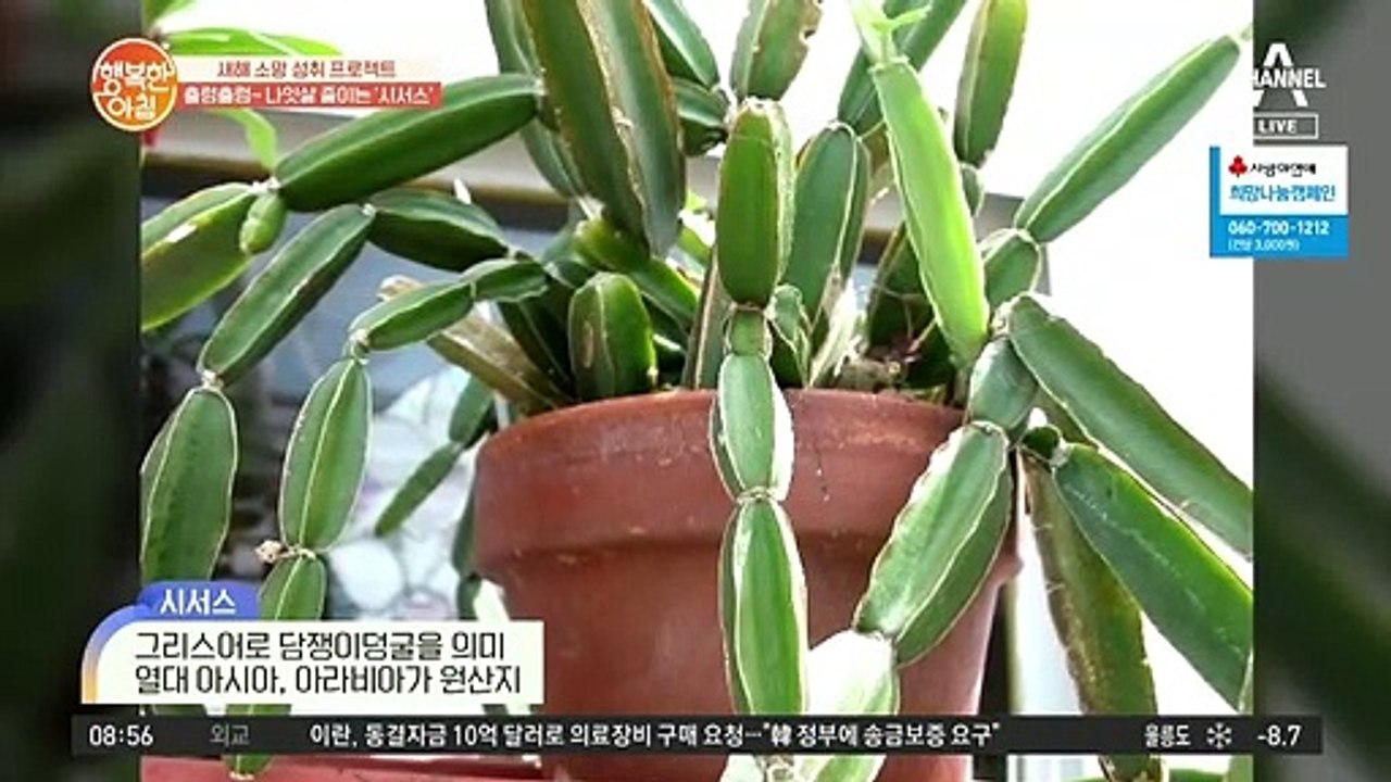 (주목) 식욕 조절을 돕는 '이것'의 정체는?!